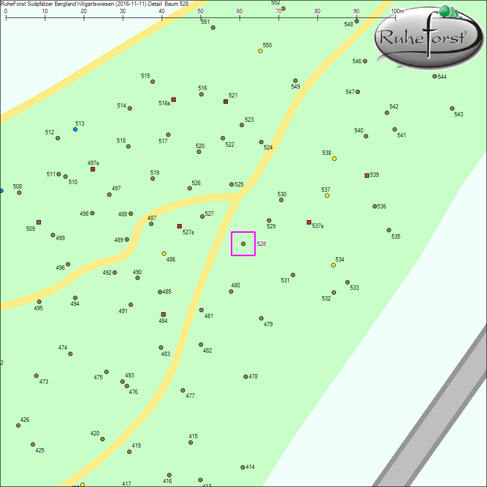 Detailkarte zu Baum 528