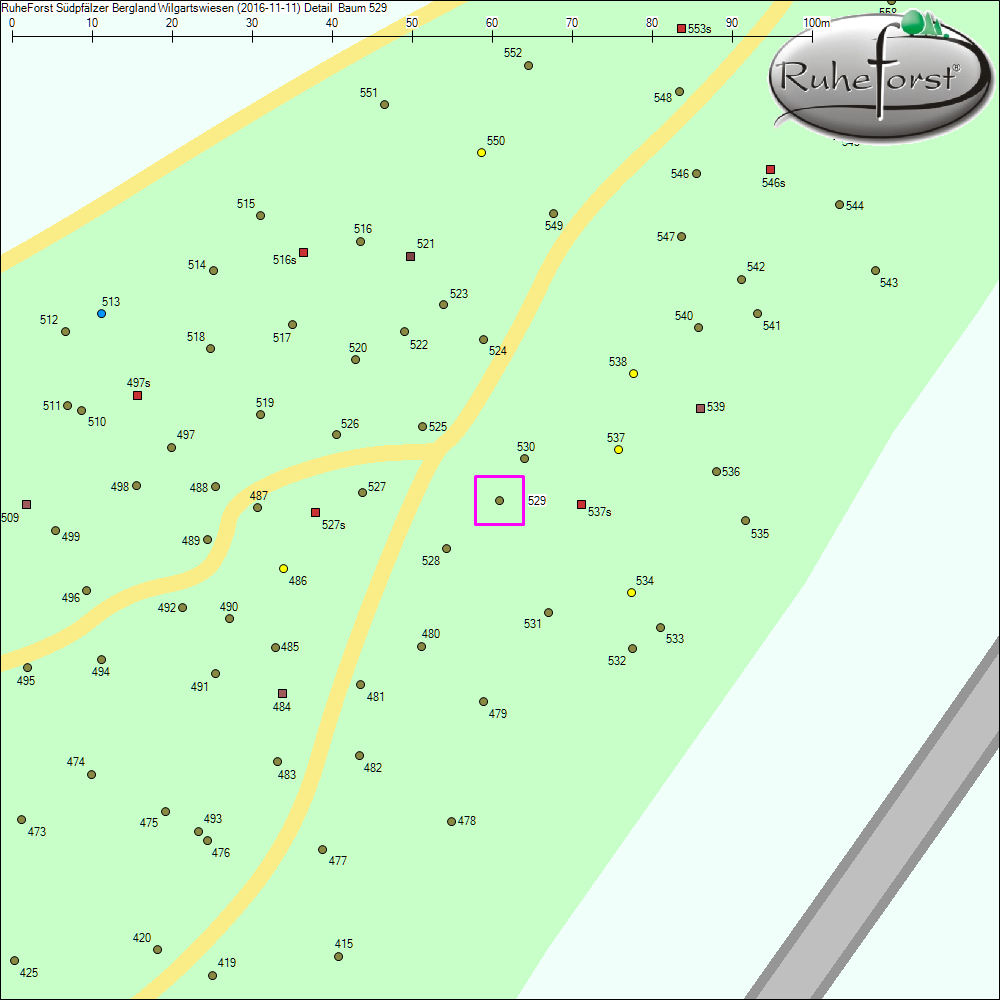 Detailkarte zu Baum 529