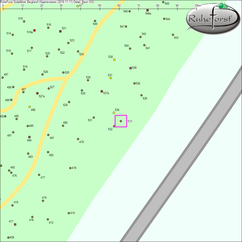 Detailkarte zu Baum 533