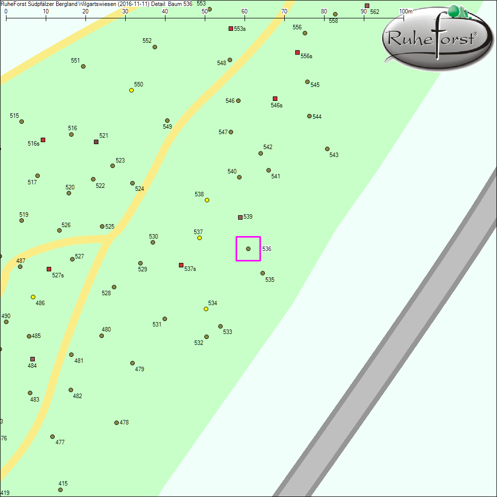 Detailkarte zu Baum 536