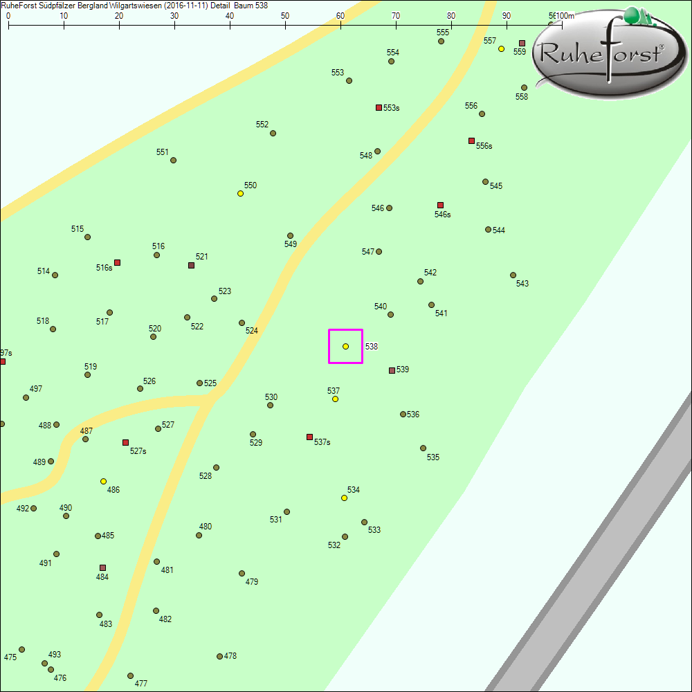 Detailkarte zu Baum 538