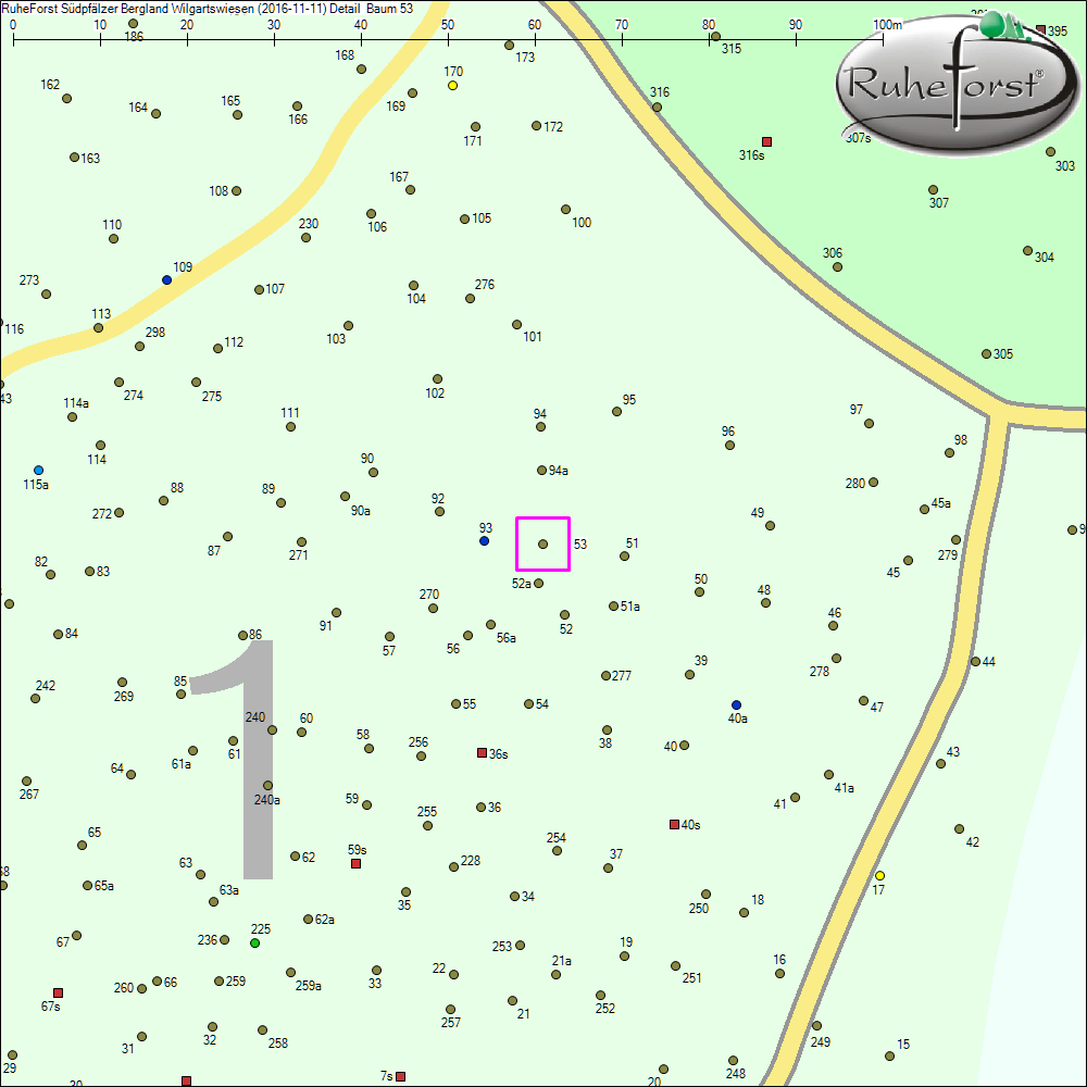 Detailkarte zu Baum 53