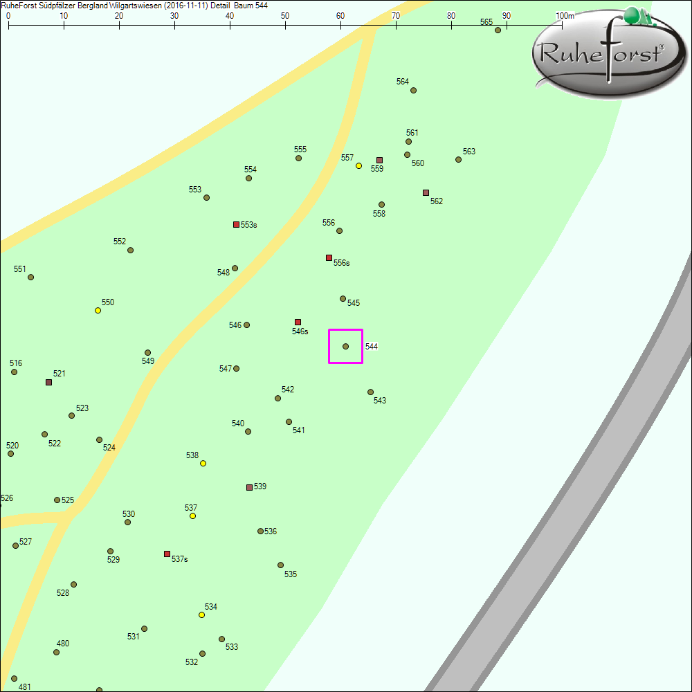 Detailkarte zu Baum 544