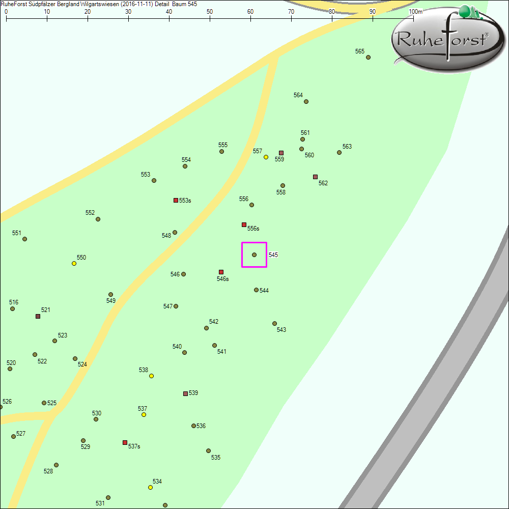 Detailkarte zu Baum 545