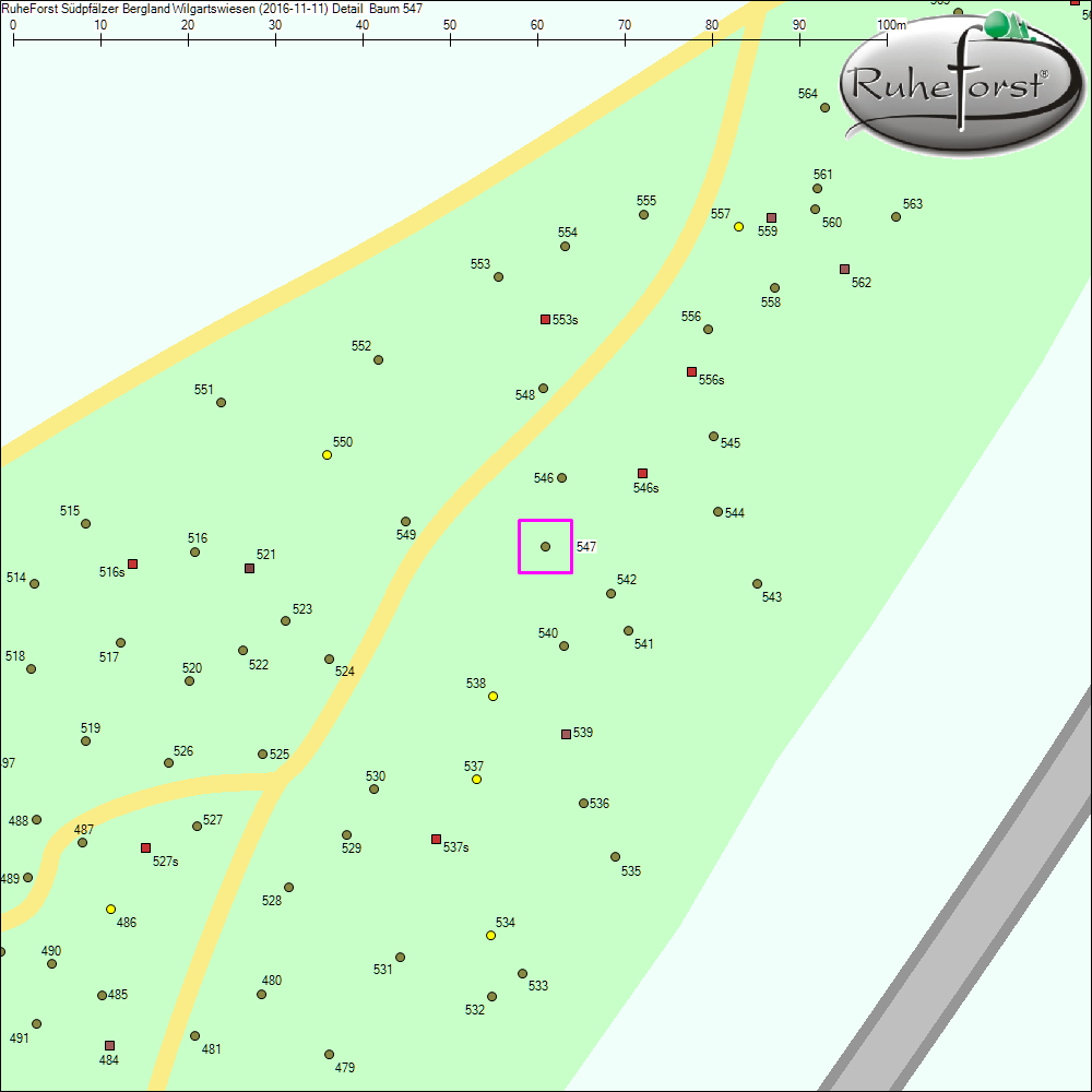 Detailkarte zu Baum 547