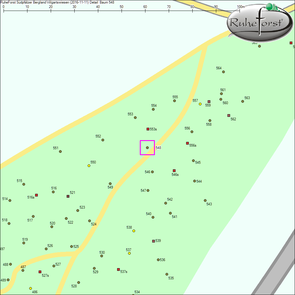 Detailkarte zu Baum 548