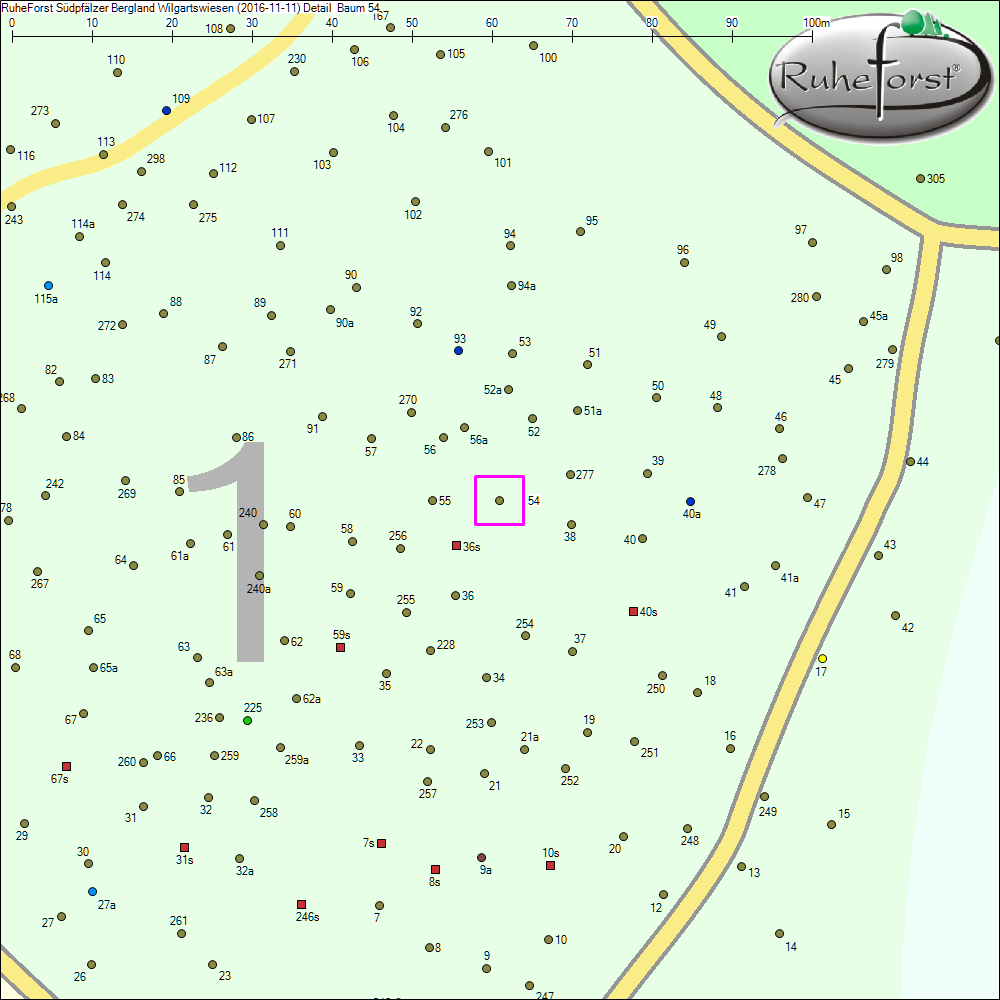 Detailkarte zu Baum 54