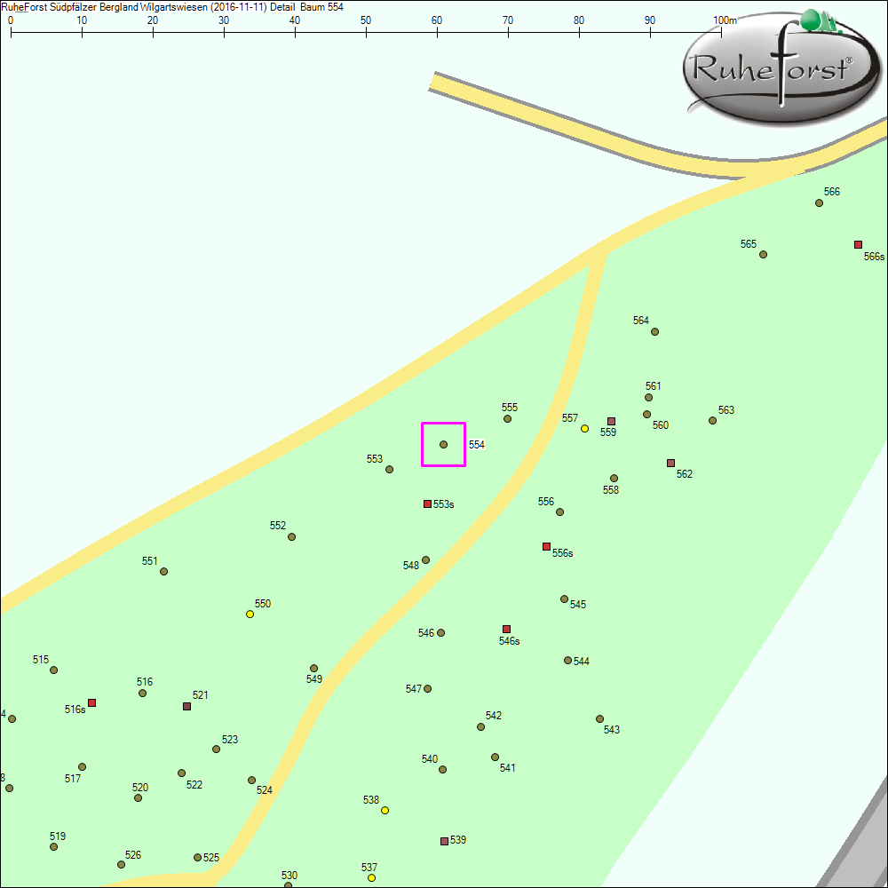 Detailkarte zu Baum 554