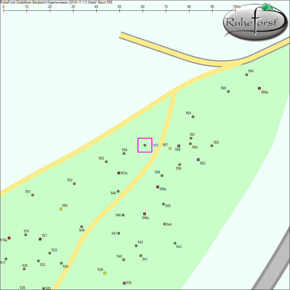 Detailkarte zu Baum 555