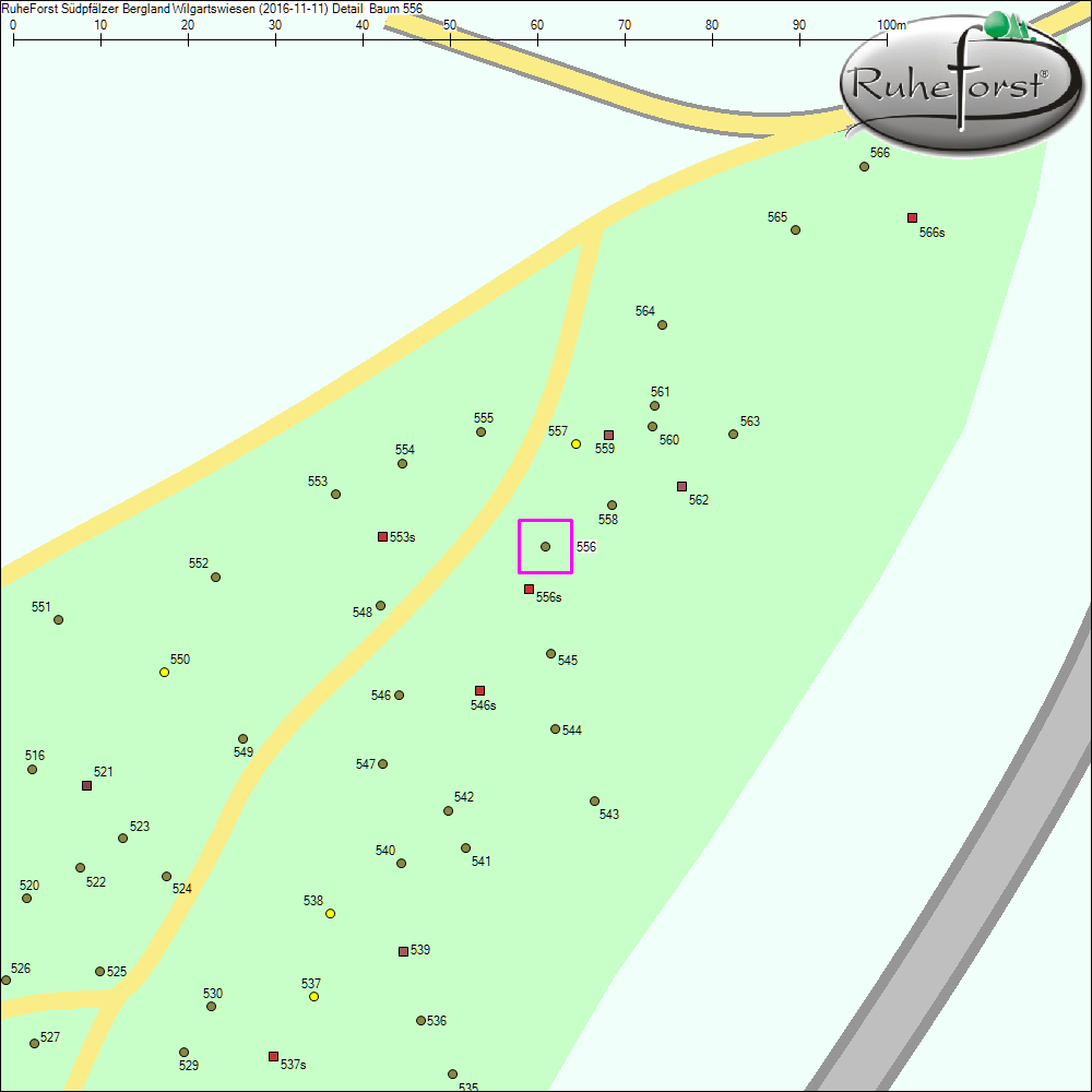 Detailkarte zu Baum 556