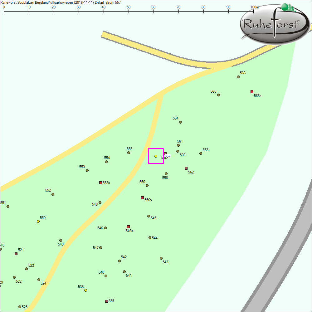 Detailkarte zu Baum 557