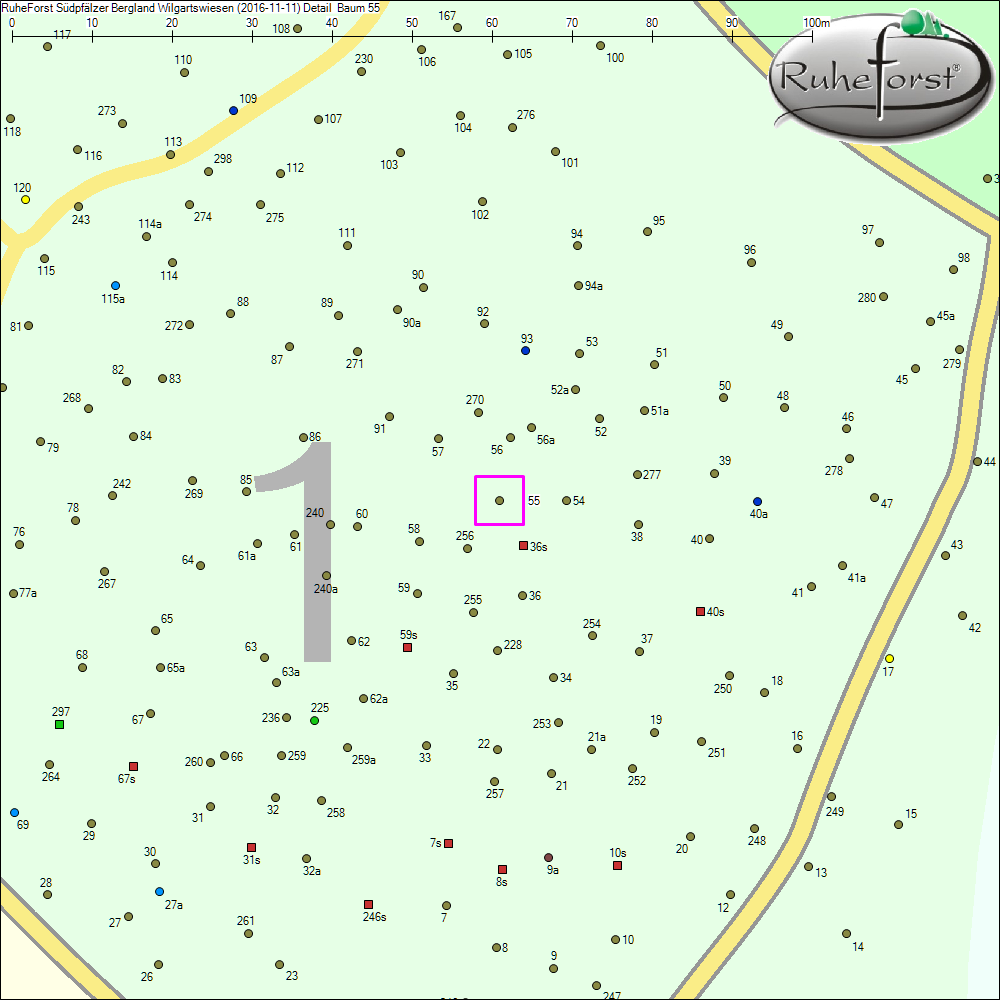 Detailkarte zu Baum 55