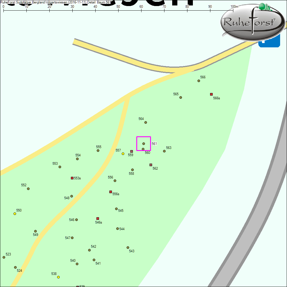 Detailkarte zu Baum 561