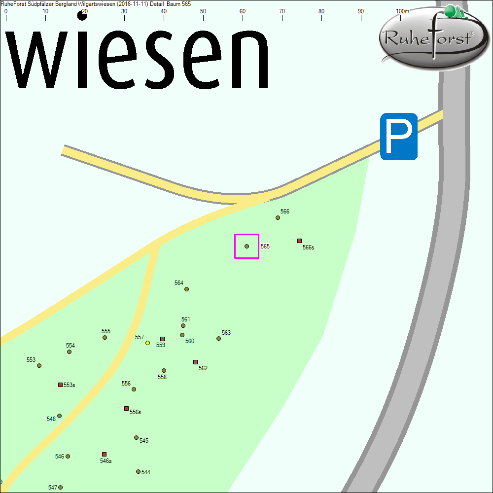 Detailkarte zu Baum 565