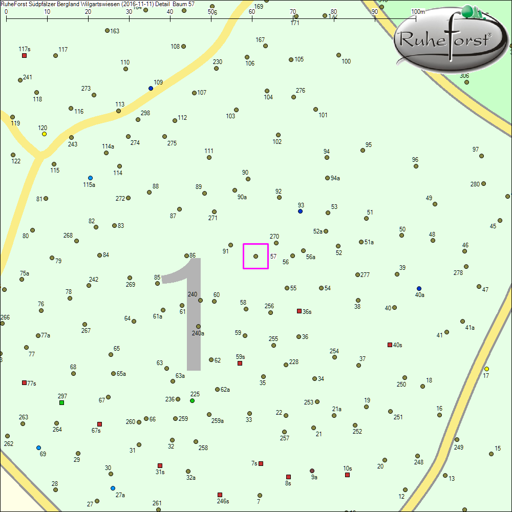 Detailkarte zu Baum 57
