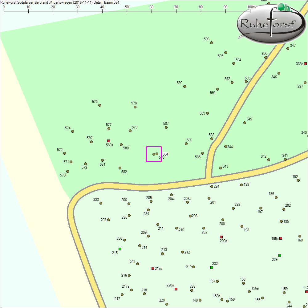 Detailkarte zu Baum 584