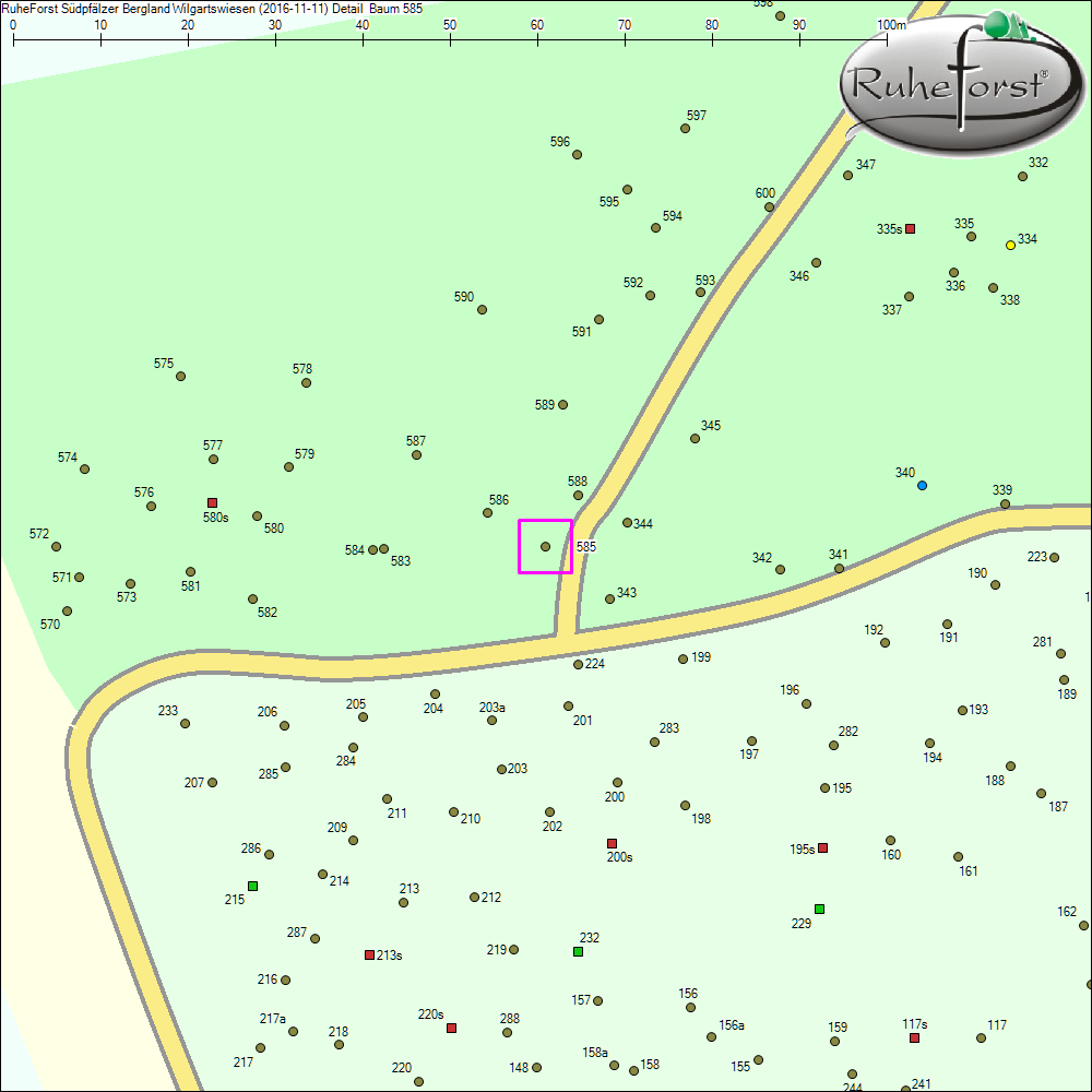 Detailkarte zu Baum 585
