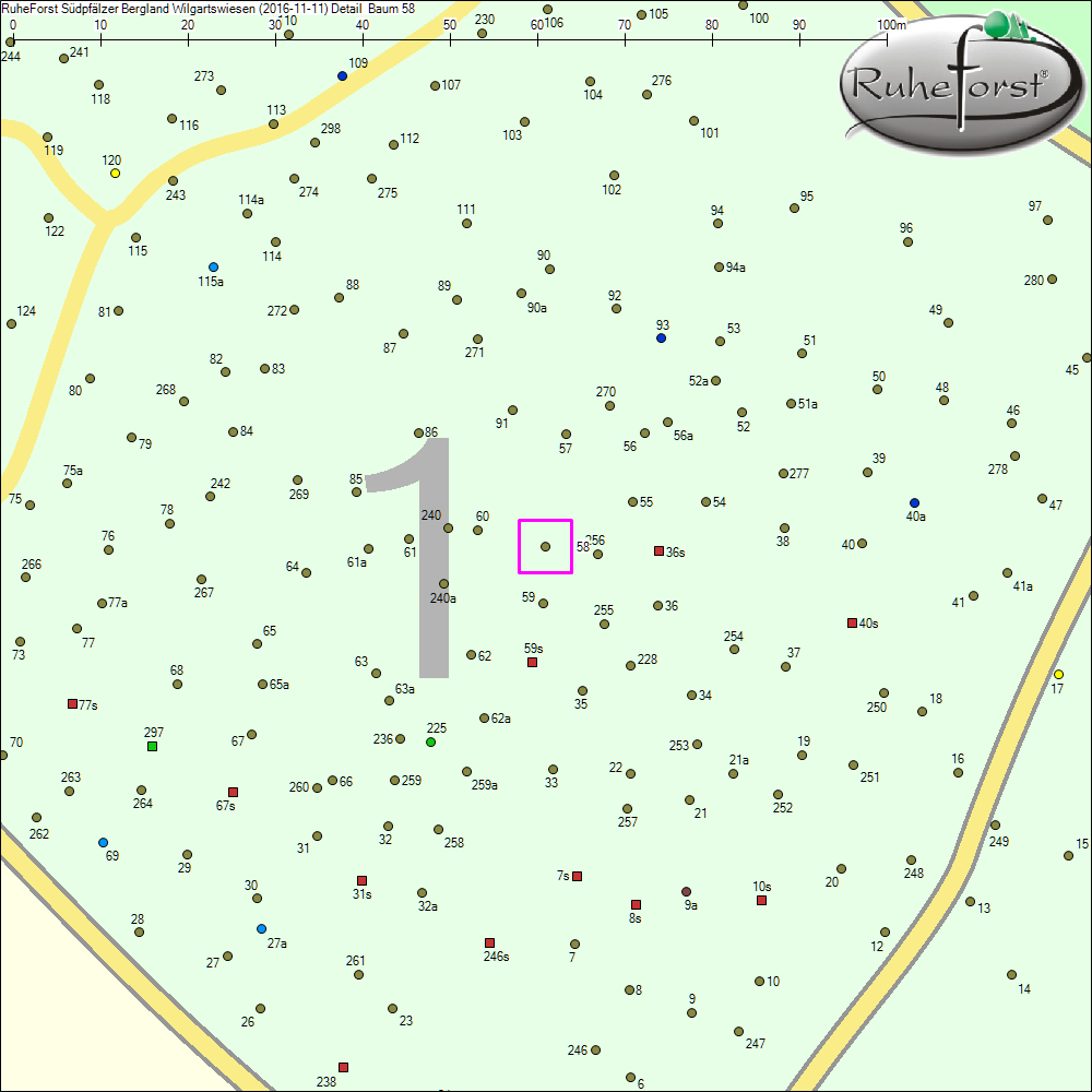 Detailkarte zu Baum 58