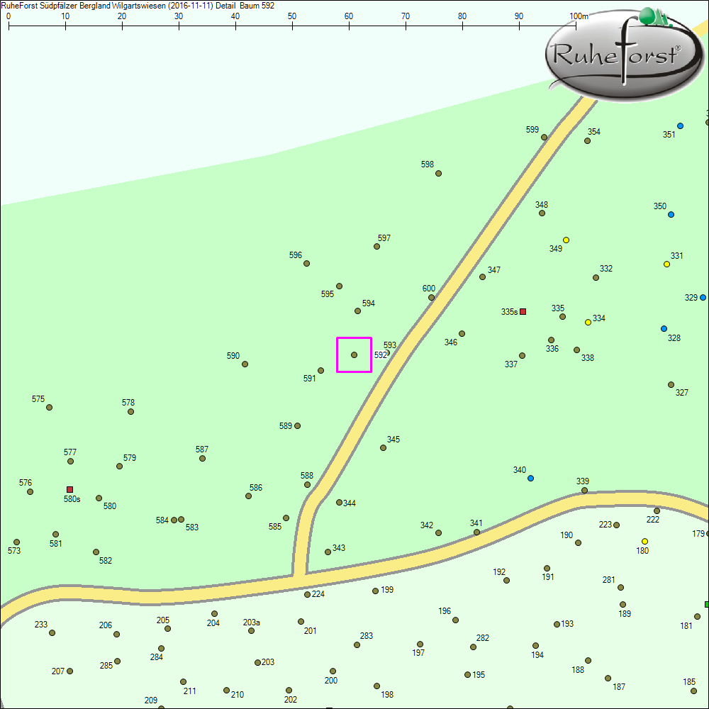 Detailkarte zu Baum 592