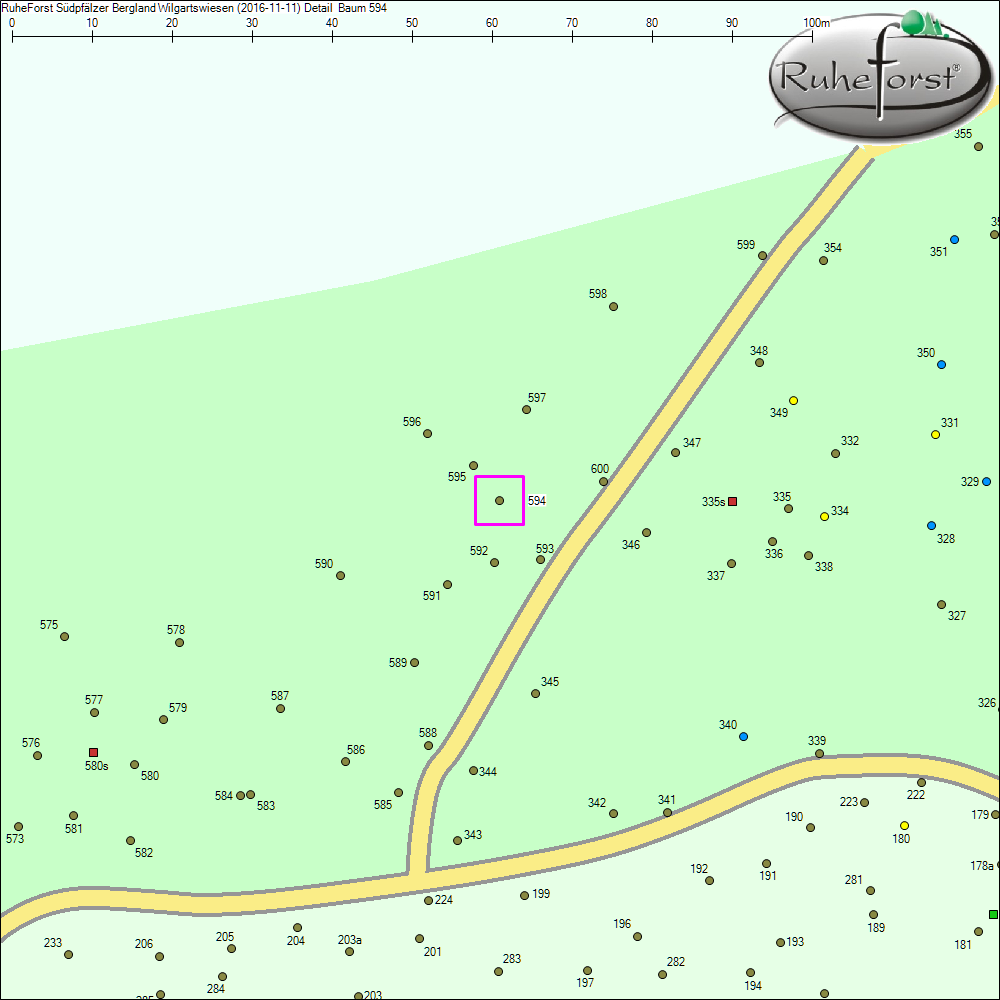 Detailkarte zu Baum 594