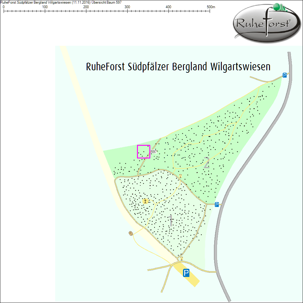 Übersichtskarte zu Baum 597