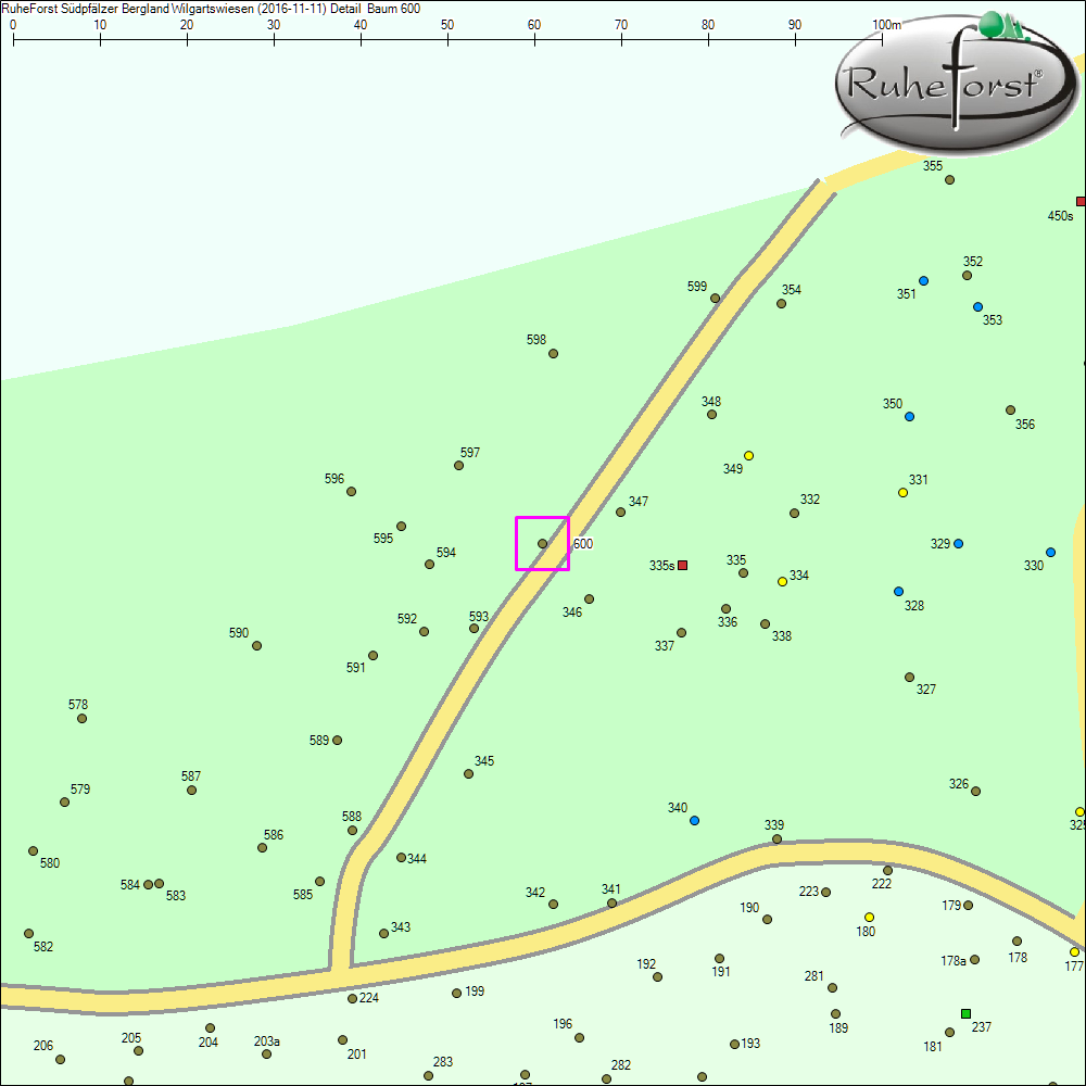 Detailkarte zu Baum 600