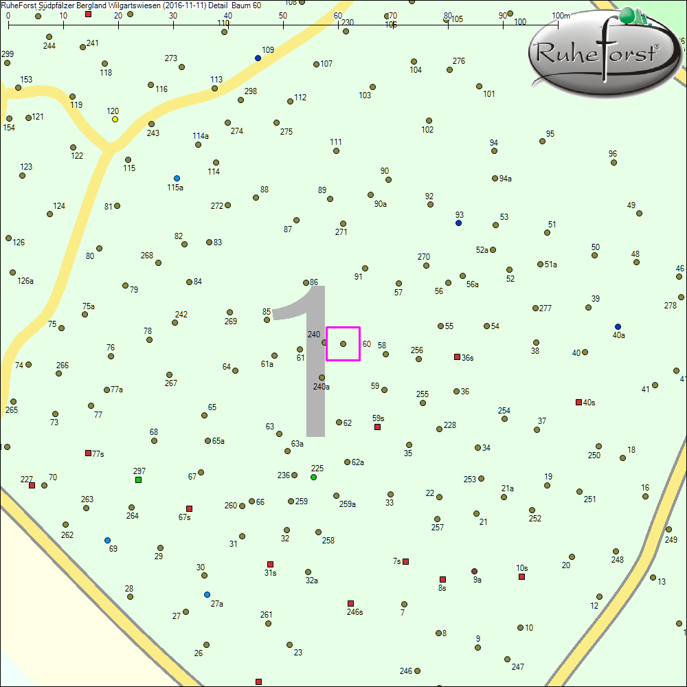 Detailkarte zu Baum 60