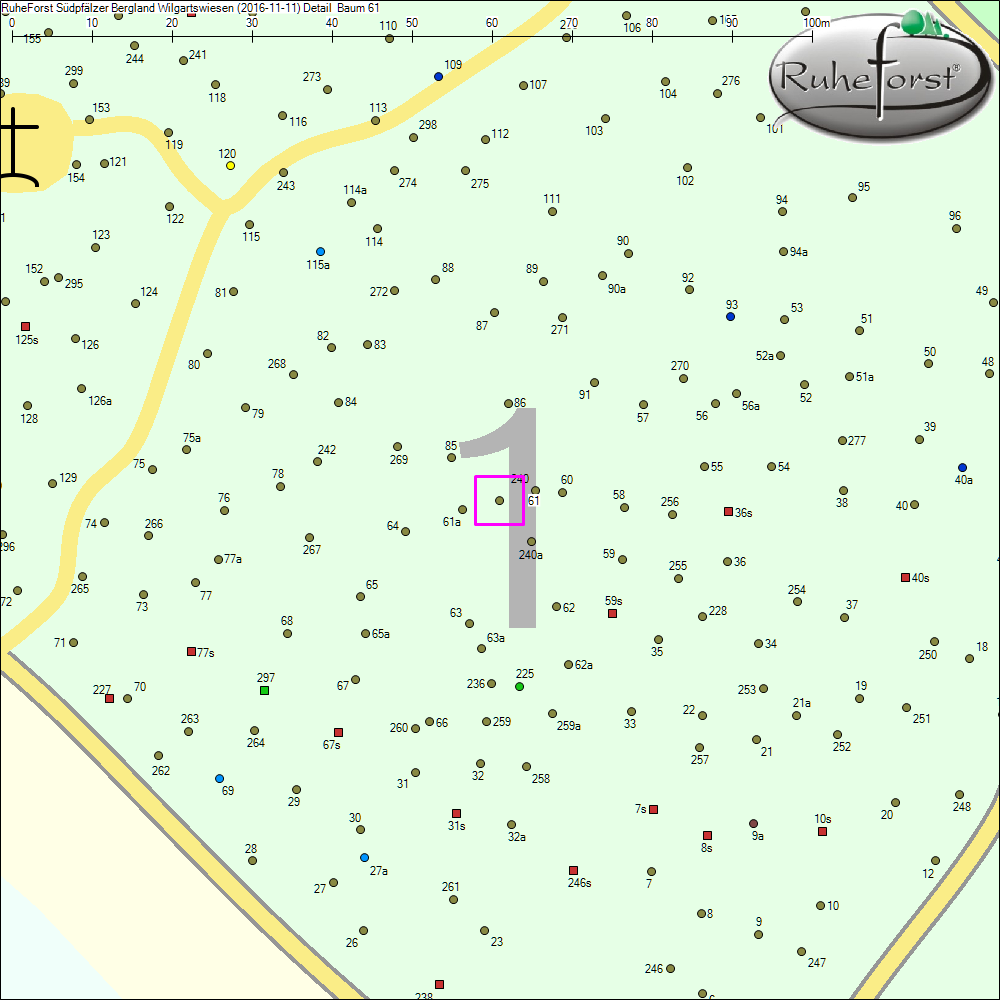 Detailkarte zu Baum 61