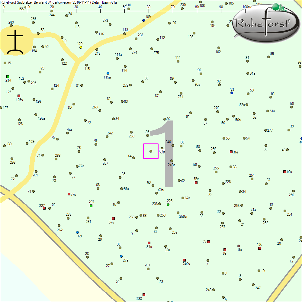Detailkarte zu Baum 61a