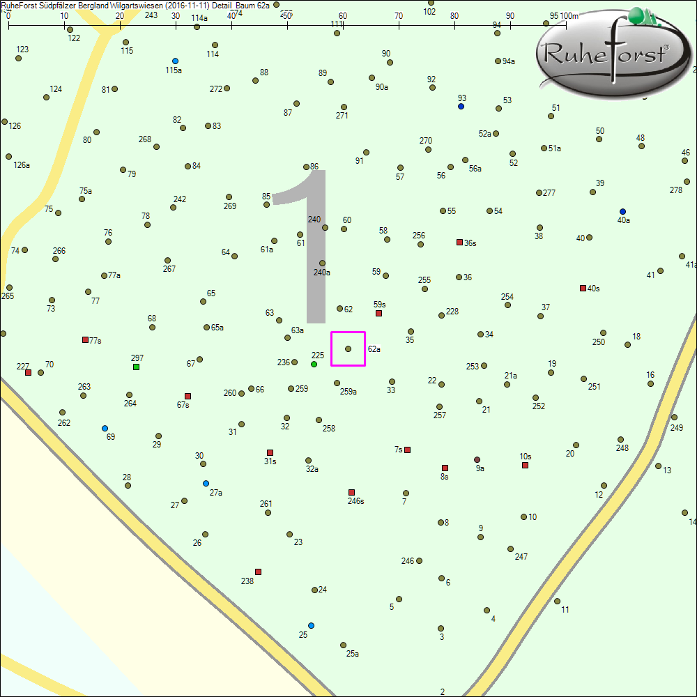 Detailkarte zu Baum 62a