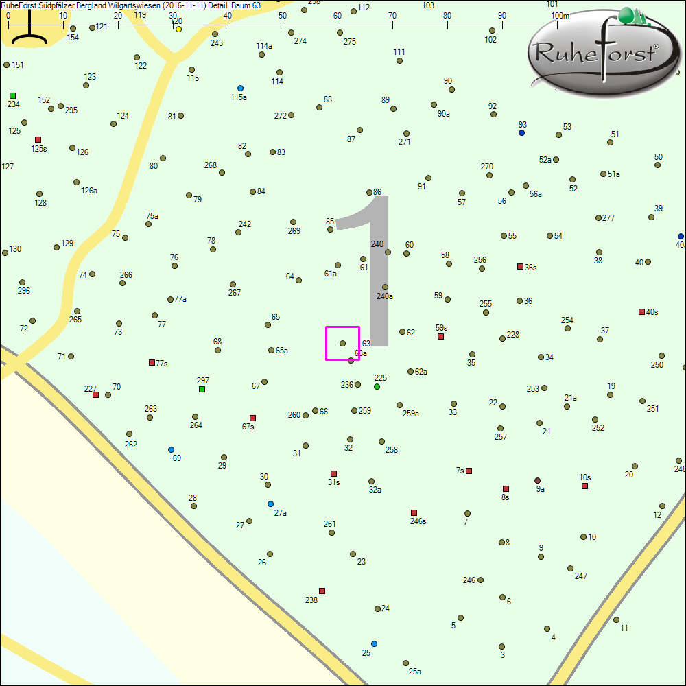 Detailkarte zu Baum 63