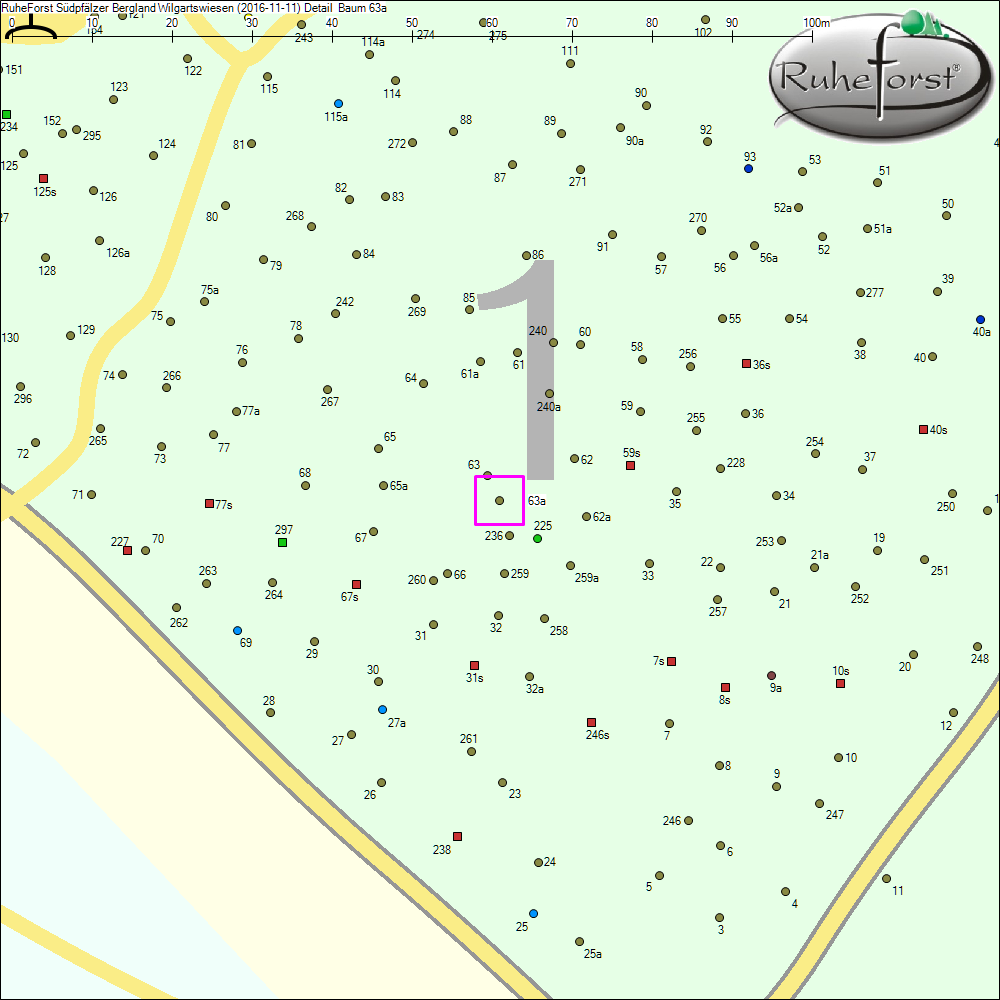Detailkarte zu Baum 63a