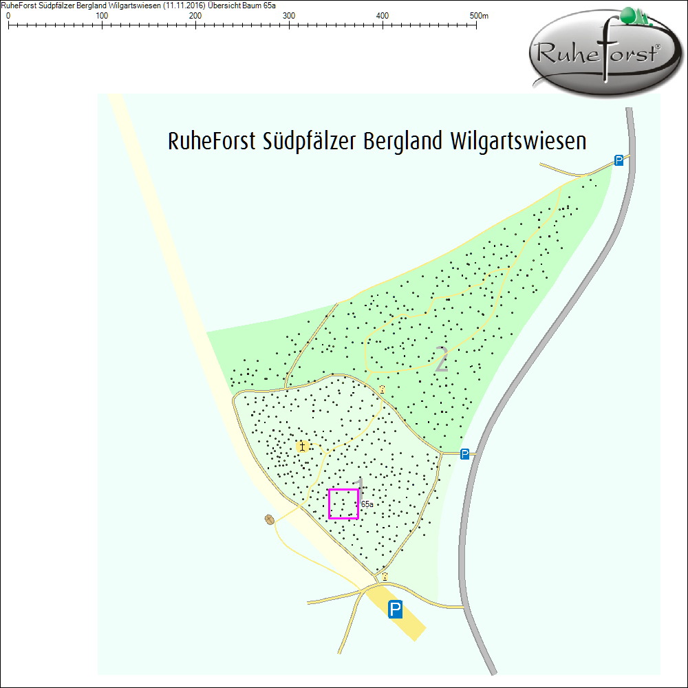 Übersichtskarte zu Baum 65a