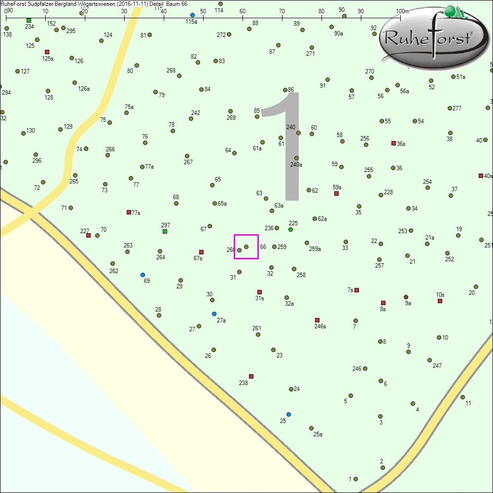 Detailkarte zu Baum 66