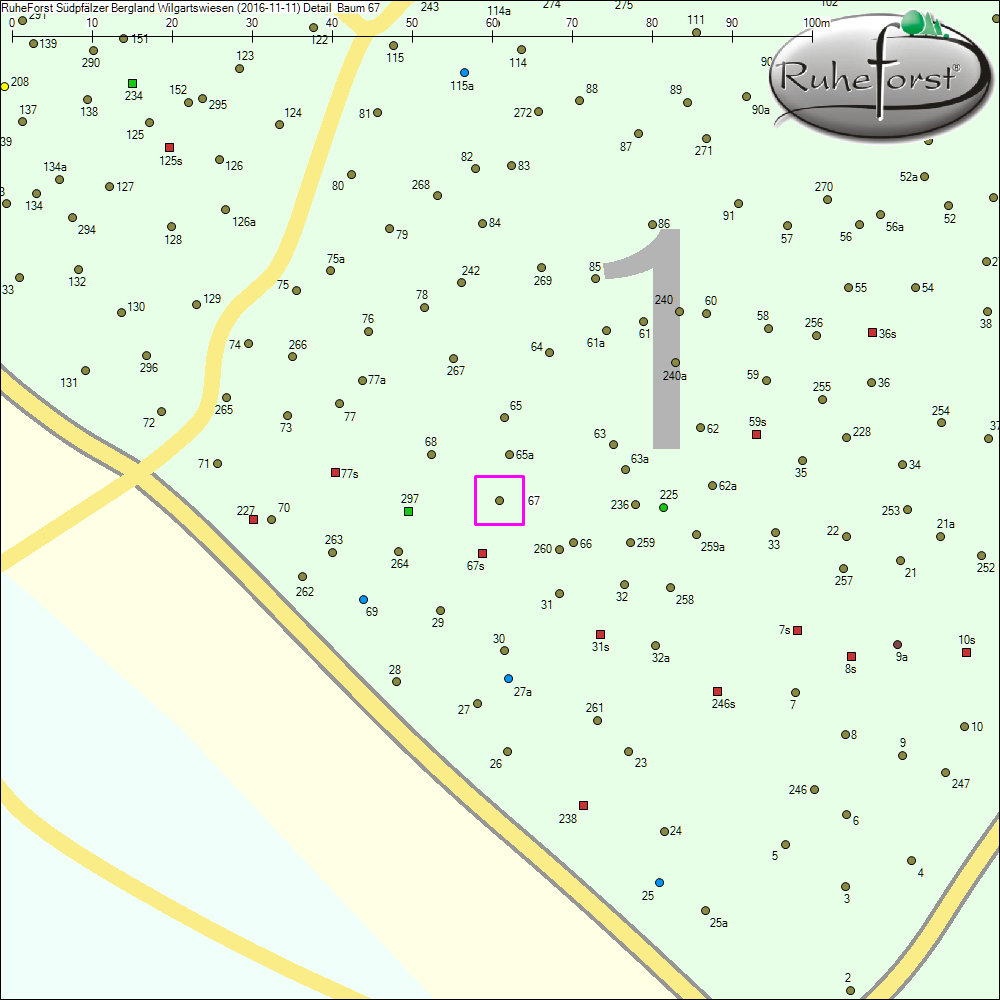 Detailkarte zu Baum 67