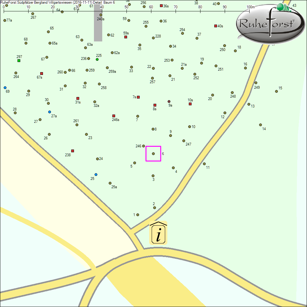 Detailkarte zu Baum 6