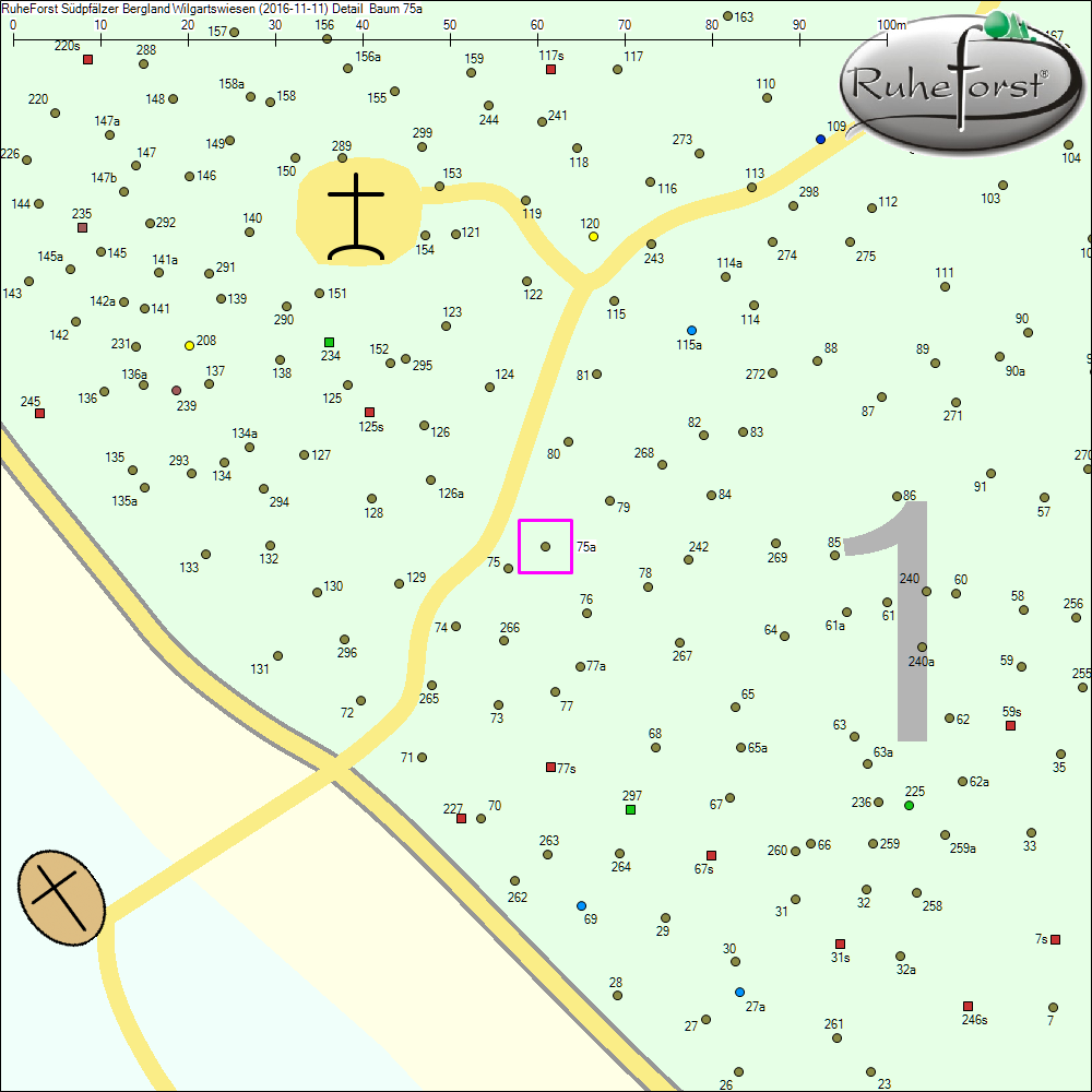 Detailkarte zu Baum 75a