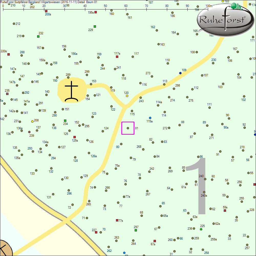 Detailkarte zu Baum 81