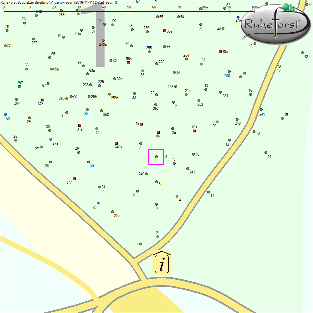 Detailkarte zu Baum 8