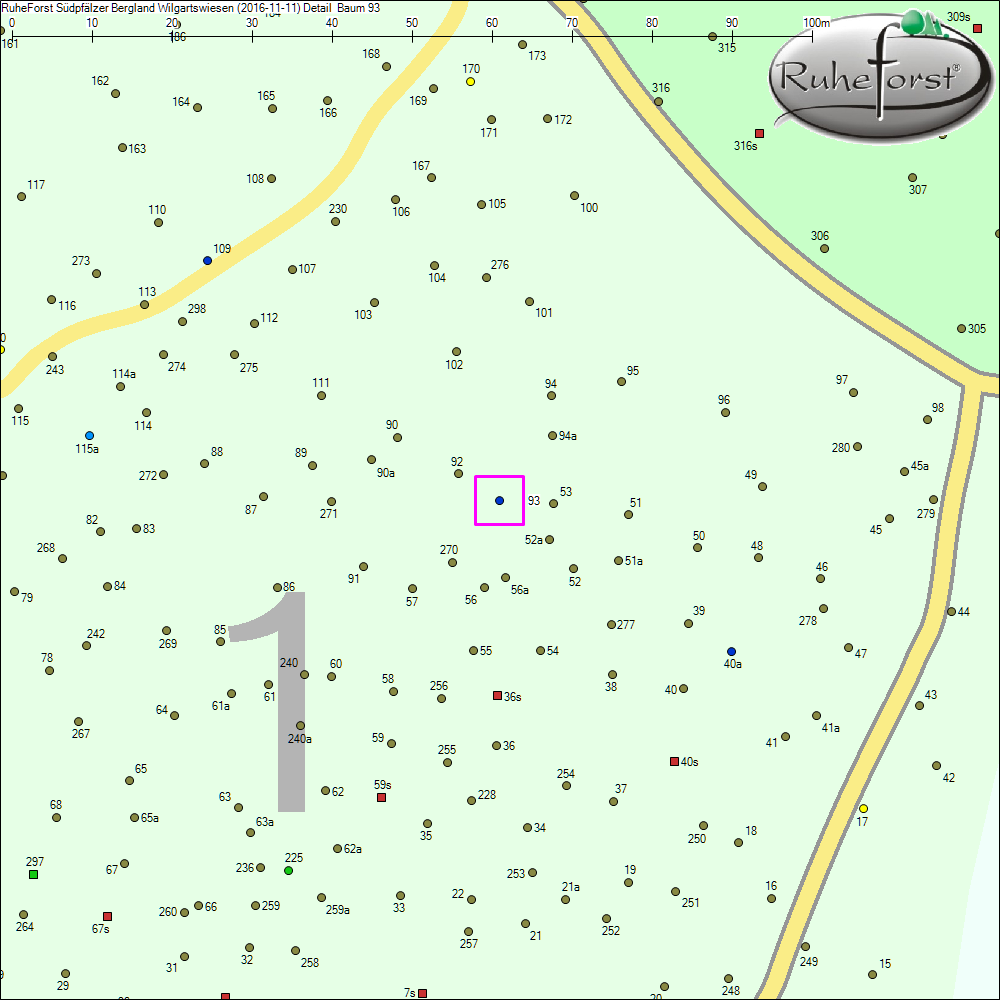 Detailkarte zu Baum 93