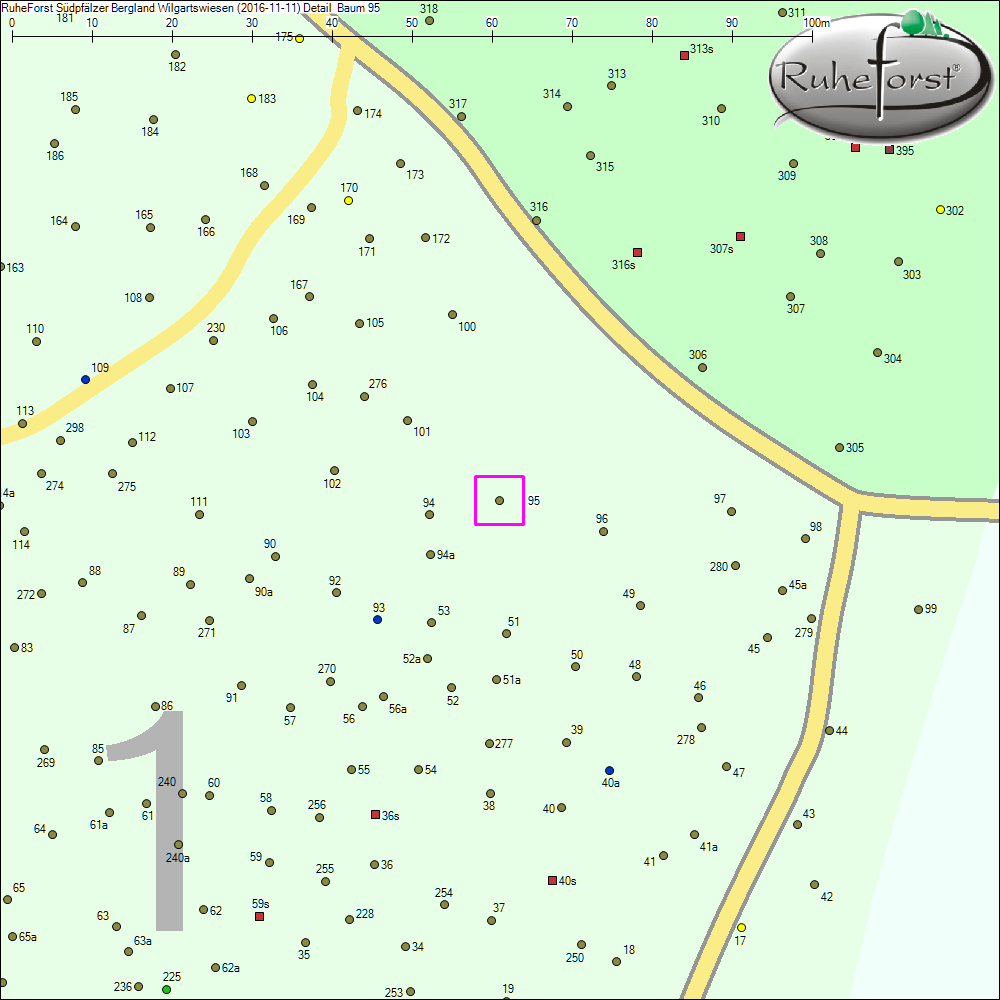 Detailkarte zu Baum 95