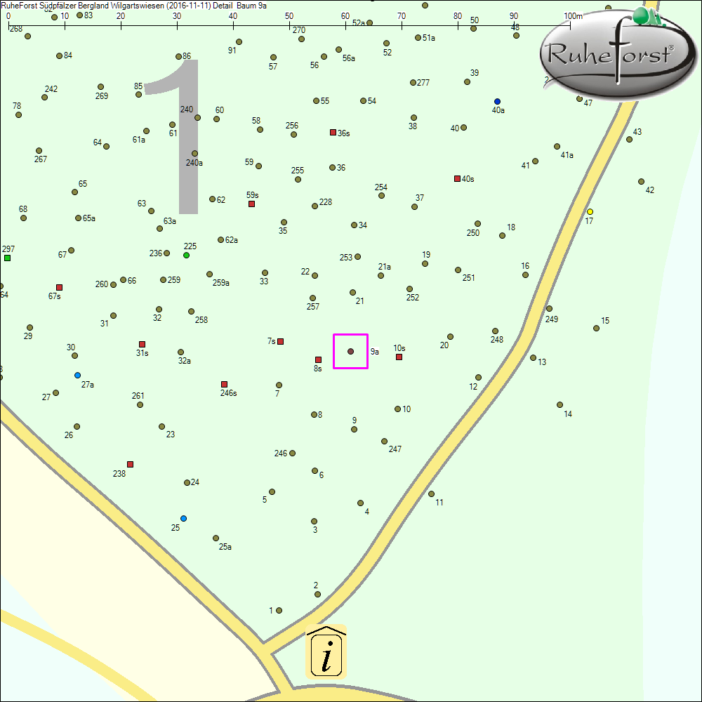Detailkarte zu Baum 9a